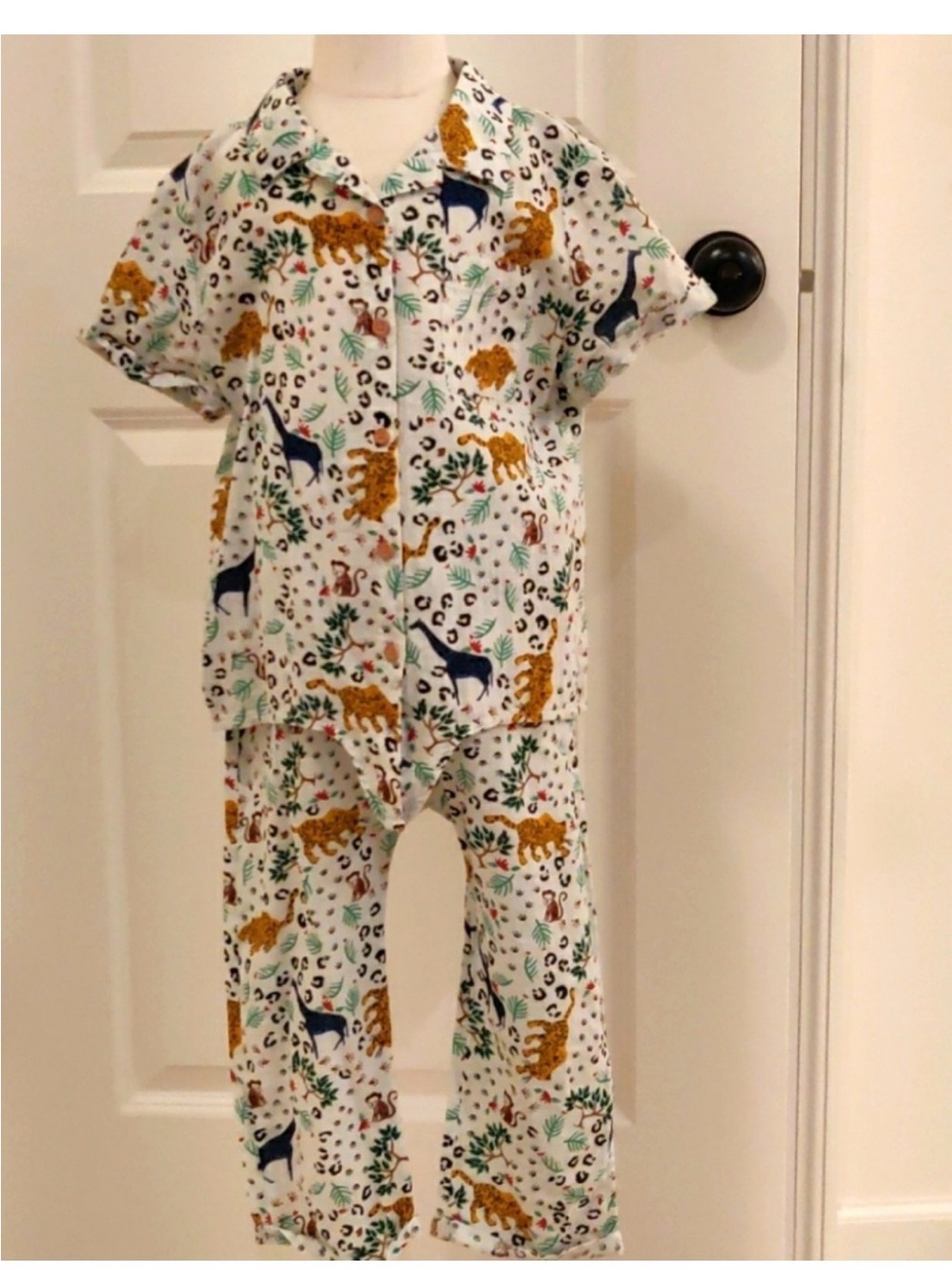 rt Class Girls Safari Animal Graphic set 4t